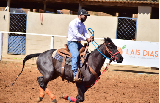 PEPITA PISTOL GRAY